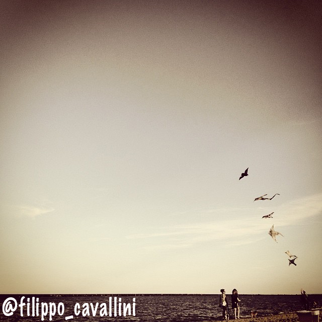 filippo cavallini