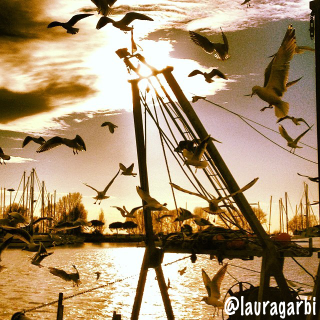 lauragarbi