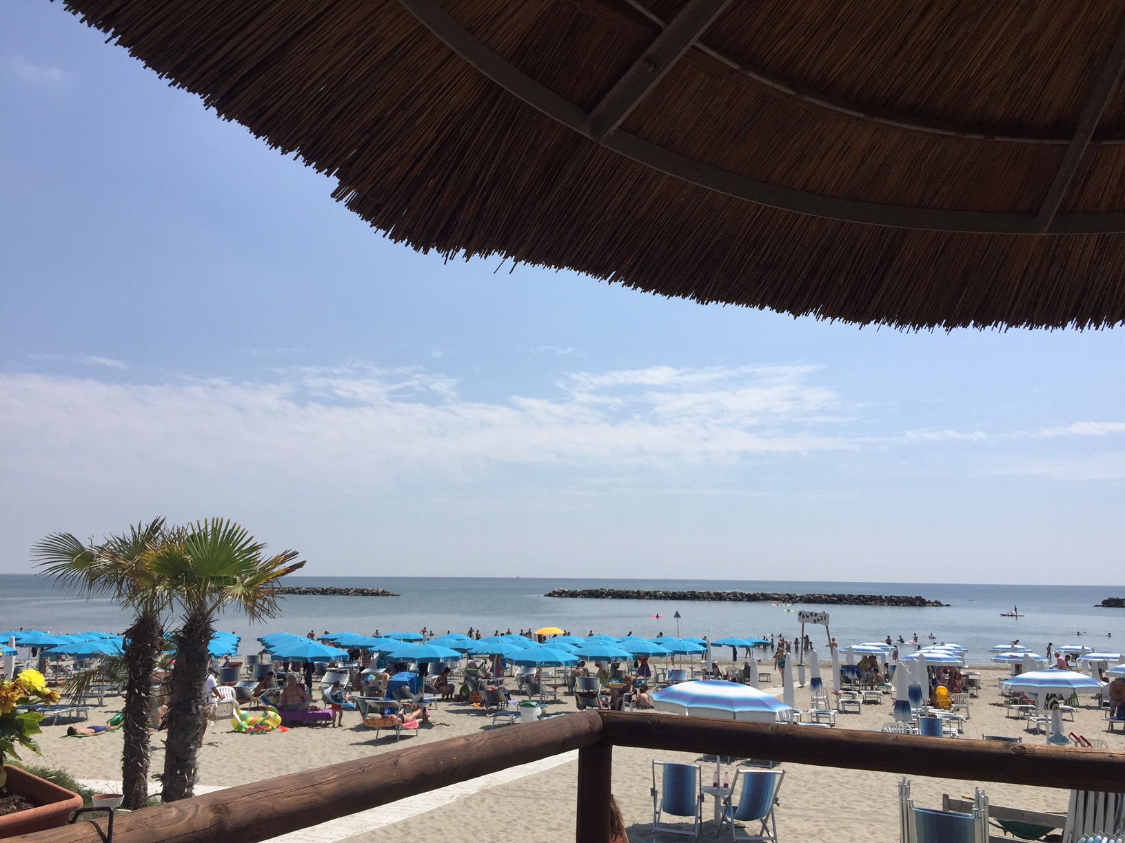 lidimare
