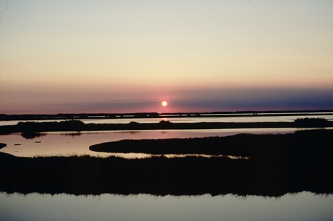 valli comacchio 1