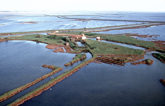 valli di comacchio 2