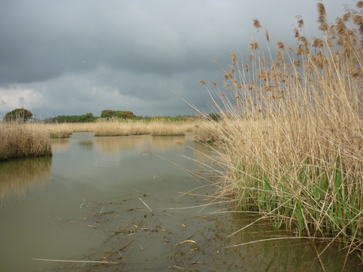 valli di comacchio 3