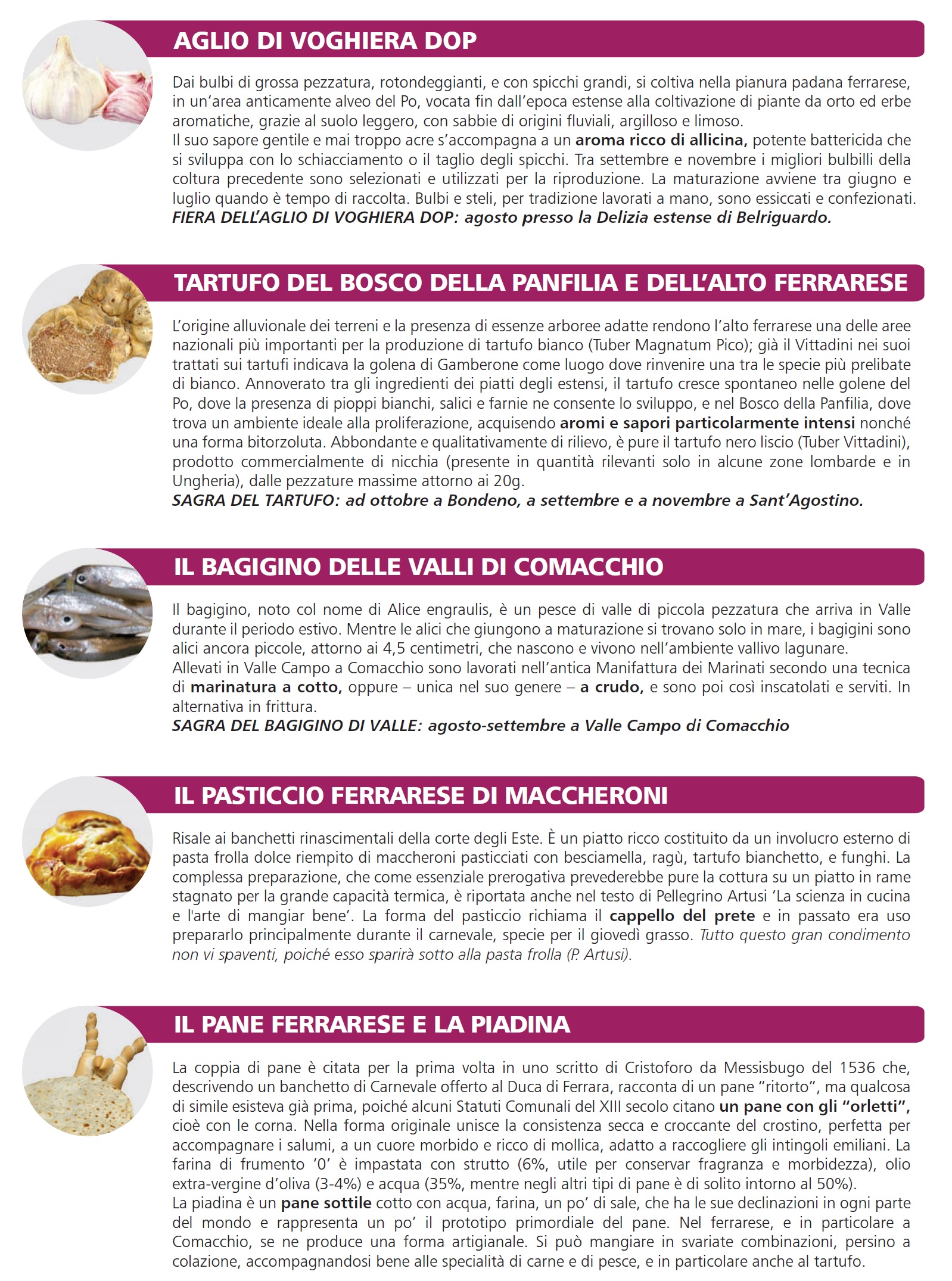 ascomexpo volantino 2
