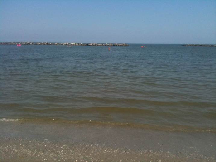 photo3
