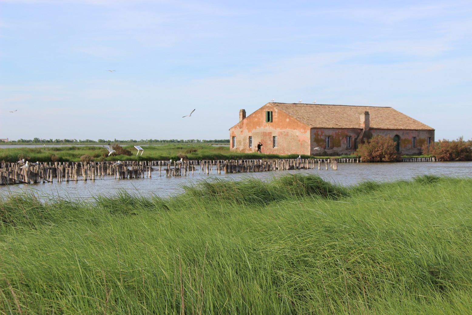 valli comacchio